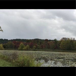 Meet your Posher, Millen